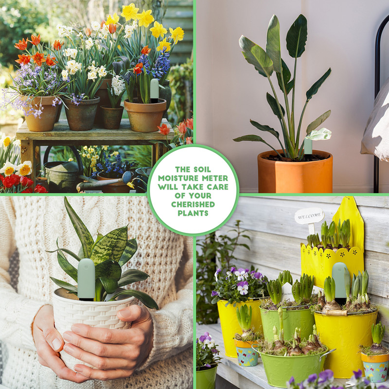 Hcc Flora Zorg Monitor Tuin Pl - Smart Garden Water recensie en prijs