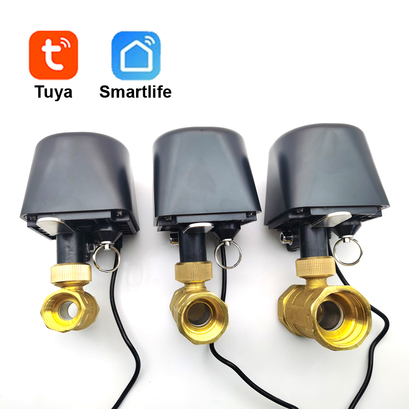 Tuya WiFi of Zigbee Waterklep  - Smart Garden Water recensie en prijs